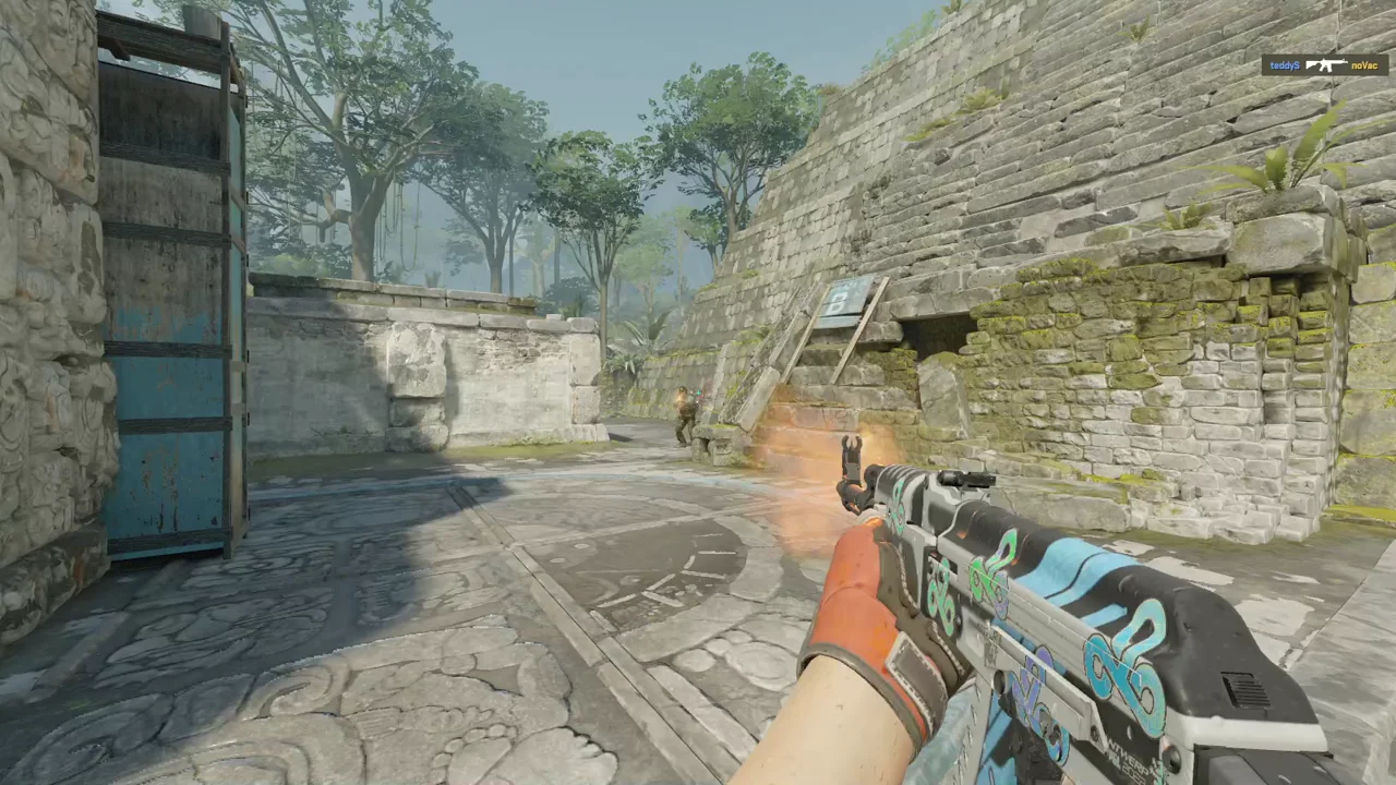 highlight